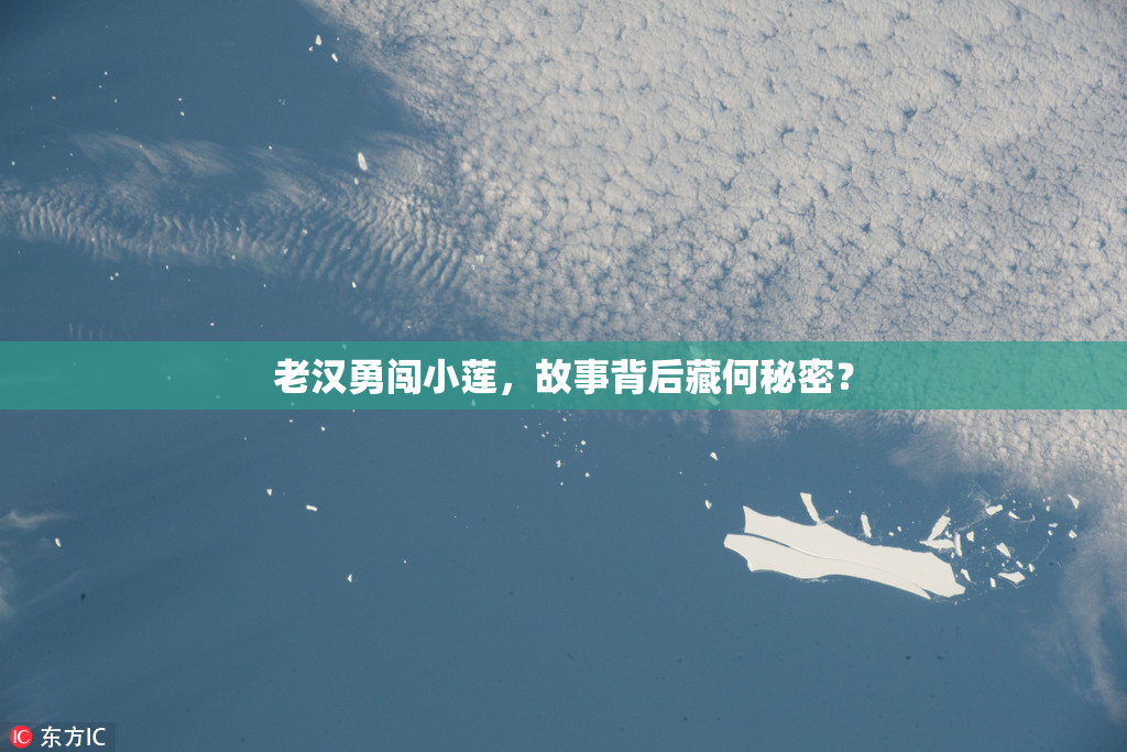 老汉勇闯小莲，故事背后藏何秘密？