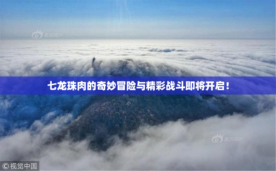 七龙珠肉的奇妙冒险与精彩战斗即将开启！