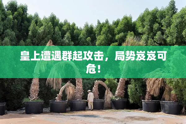皇上遭遇群起攻击，局势岌岌可危！