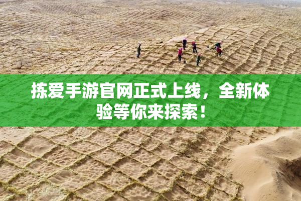拣爱手游官网正式上线，全新体验等你来探索！