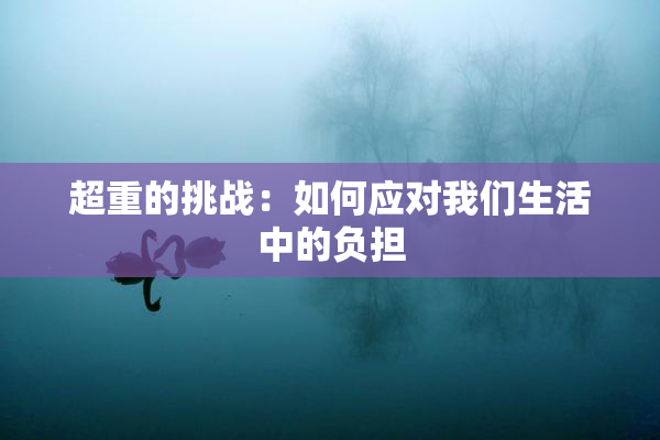 超重的挑战：如何应对我们生活中的负担
