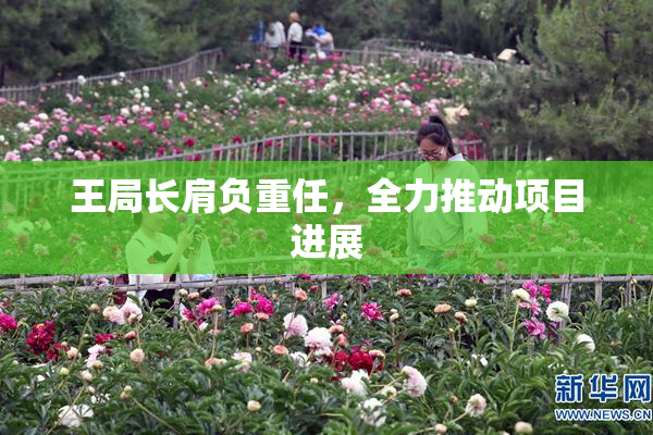 王局长肩负重任，全力推动项目进展