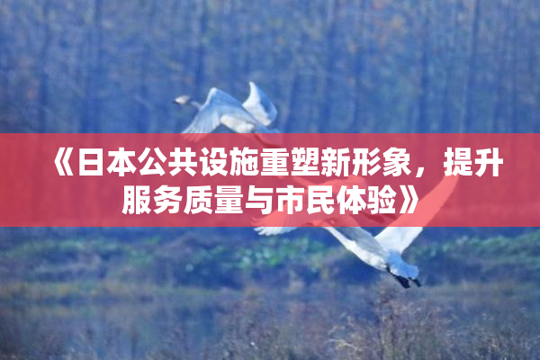 《日本公共设施重塑新形象，提升服务质量与市民体验》