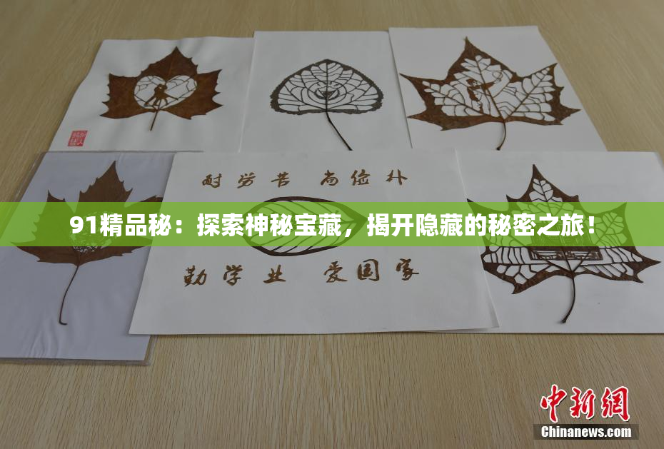 91精品秘：探索神秘宝藏，揭开隐藏的秘密之旅！