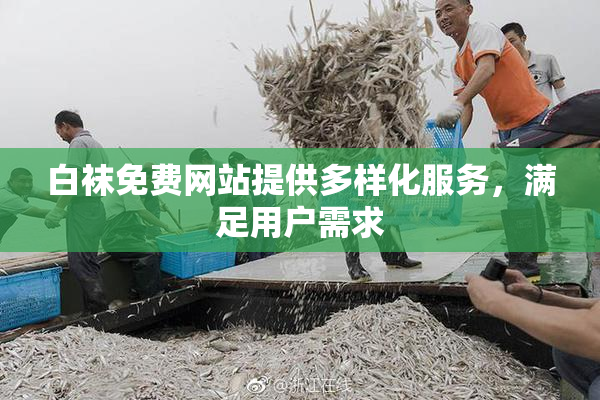 白袜免费网站提供多样化服务，满足用户需求