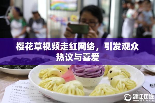樱花草视频走红网络，引发观众热议与喜爱