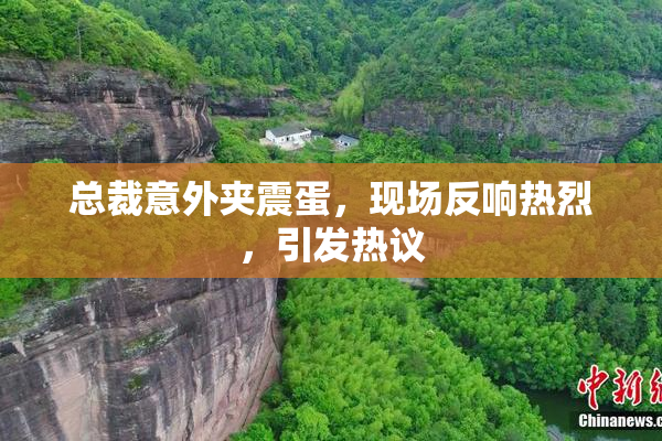 总裁意外夹震蛋，现场反响热烈，引发热议