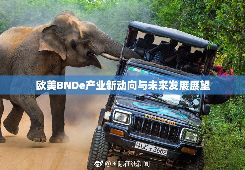 欧美BNDe产业新动向与未来发展展望