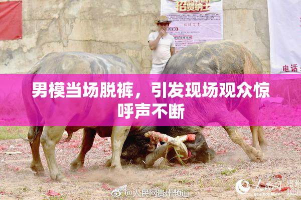 男模当场脱裤，引发现场观众惊呼声不断