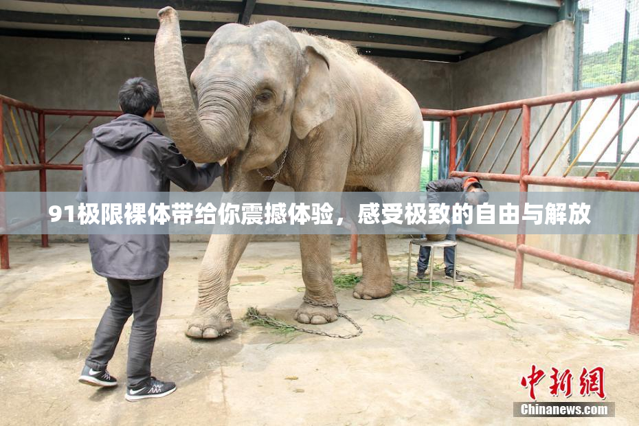 91极限裸体带给你震撼体验，感受极致的自由与解放