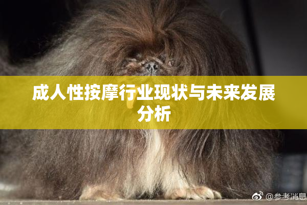 成人性按摩行业现状与未来发展分析