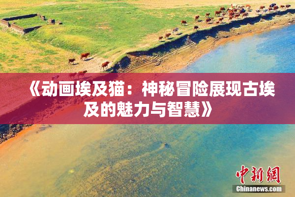 《动画埃及猫：神秘冒险展现古埃及的魅力与智慧》