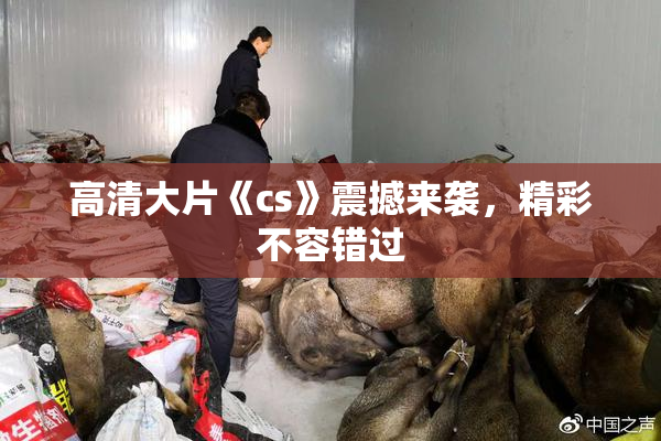 高清大片《cs》震撼来袭，精彩不容错过