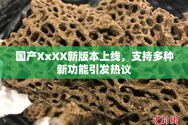 国产XxXX新版本上线，支持多种新功能引发热议