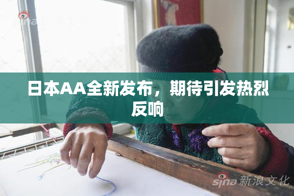日本AA全新发布，期待引发热烈反响