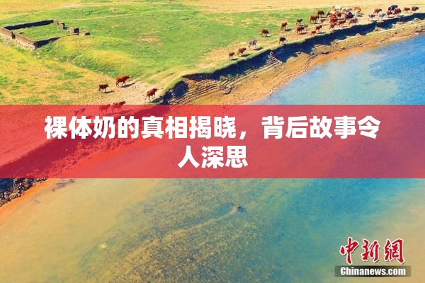 裸体奶的真相揭晓，背后故事令人深思