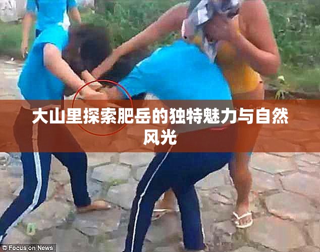 大山里探索肥岳的独特魅力与自然风光