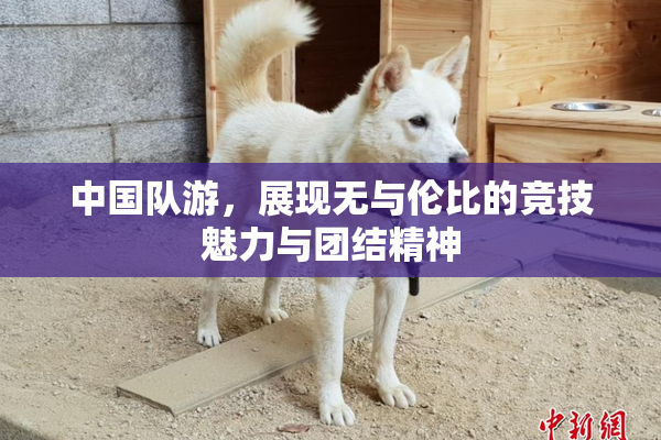 中国队游，展现无与伦比的竞技魅力与团结精神