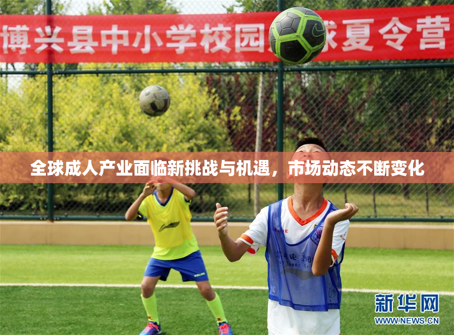全球成人产业面临新挑战与机遇，市场动态不断变化