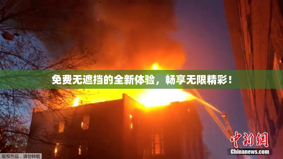 免费无遮挡的全新体验，畅享无限精彩！
