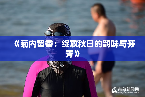 《菊内留香：绽放秋日的韵味与芬芳》