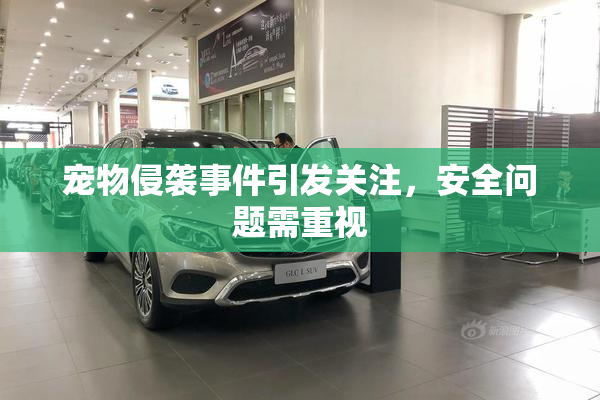 宠物侵袭事件引发关注，安全问题需重视