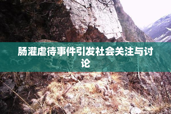 肠灌虐待事件引发社会关注与讨论