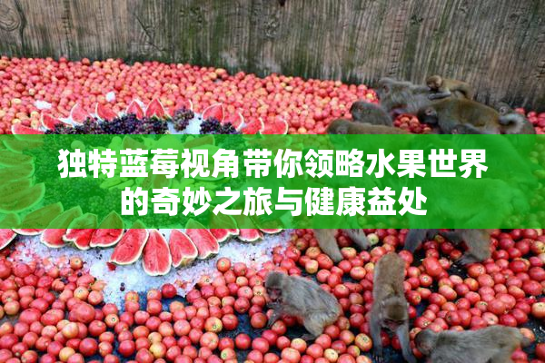 独特蓝莓视角带你领略水果世界的奇妙之旅与健康益处