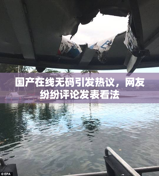 国产在线无码引发热议，网友纷纷评论发表看法