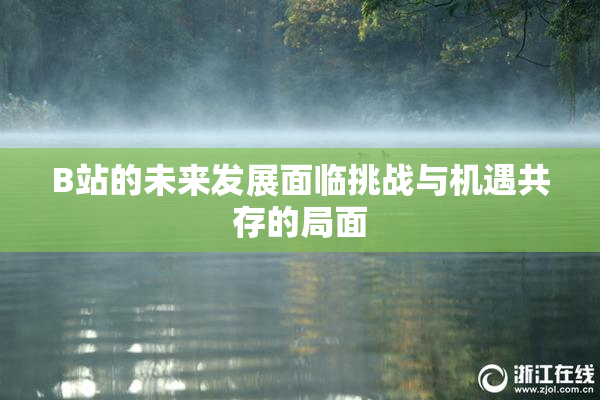 B站的未来发展面临挑战与机遇共存的局面