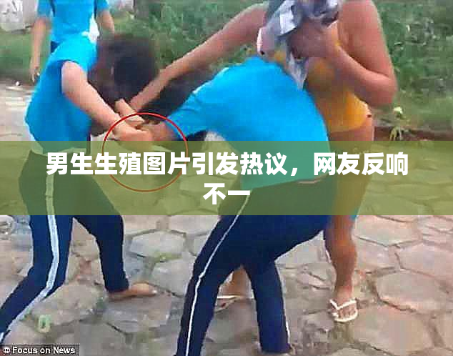男生生殖图片引发热议，网友反响不一