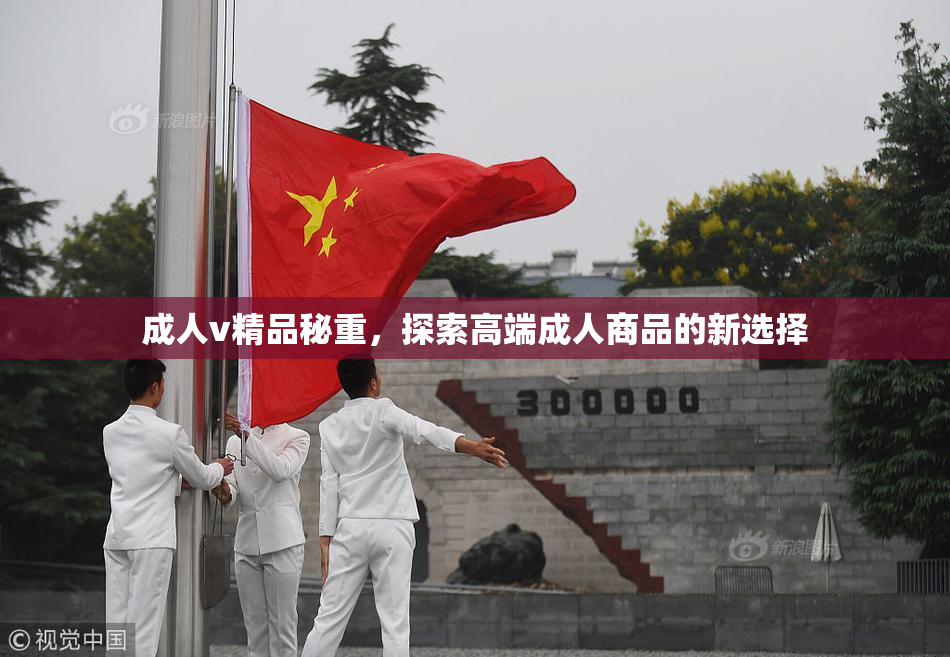 成人v精品秘重，探索高端成人商品的新选择