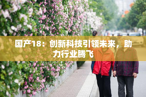国产18：创新科技引领未来，助力行业腾飞