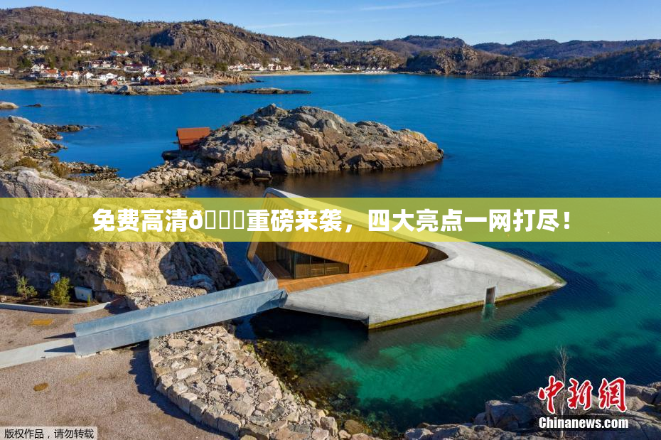 免费高清🔞重磅来袭，四大亮点一网打尽！