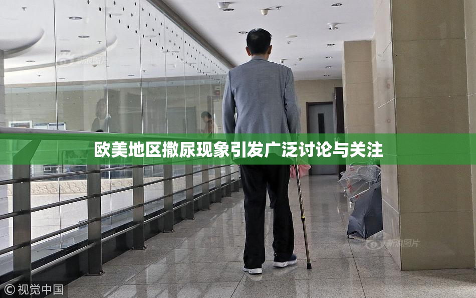 欧美地区撒尿现象引发广泛讨论与关注