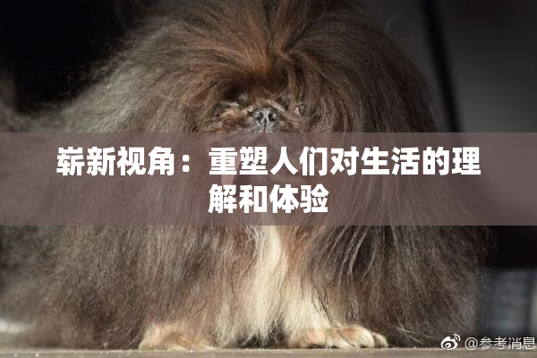 崭新视角：重塑人们对生活的理解和体验