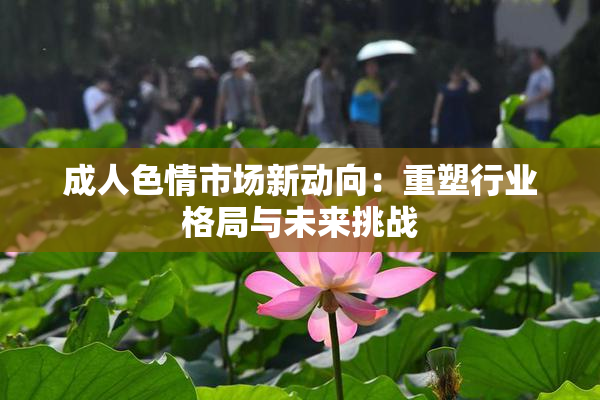 成人色情市场新动向：重塑行业格局与未来挑战