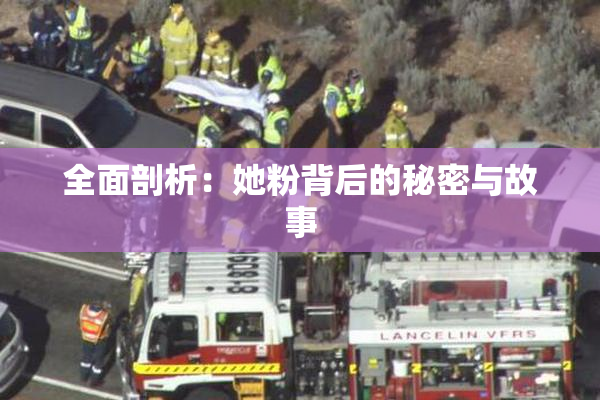 全面剖析：她粉背后的秘密与故事