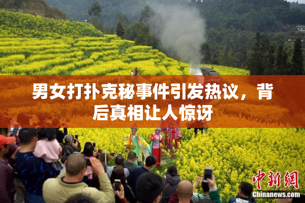男女打扑克秘事件引发热议，背后真相让人惊讶