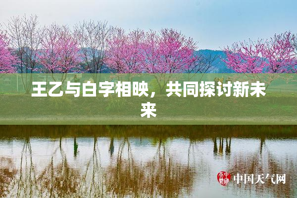王乙与白字相映，共同探讨新未来