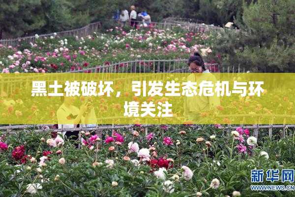 黑土被破坏，引发生态危机与环境关注