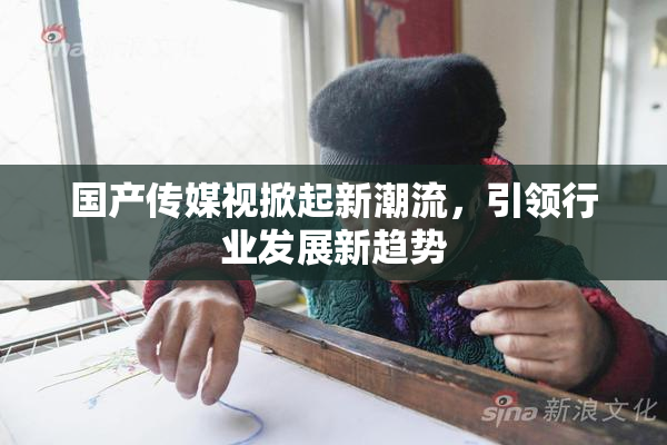 国产传媒视掀起新潮流，引领行业发展新趋势