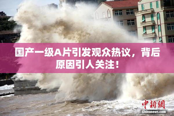 国产一级A片引发观众热议，背后原因引人关注！