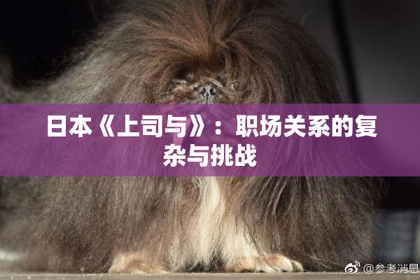 日本《上司与》：职场关系的复杂与挑战