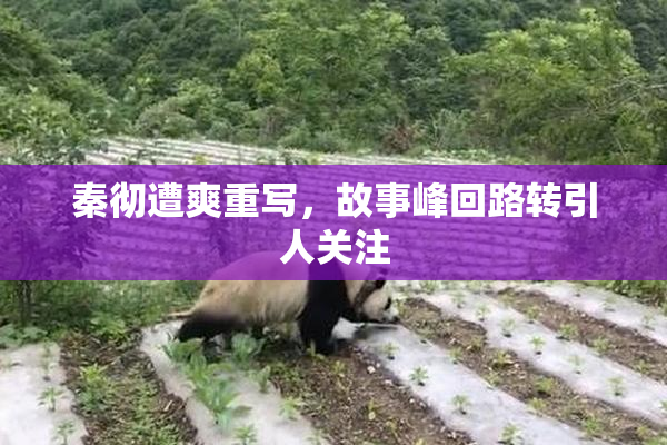 秦彻遭爽重写，故事峰回路转引人关注