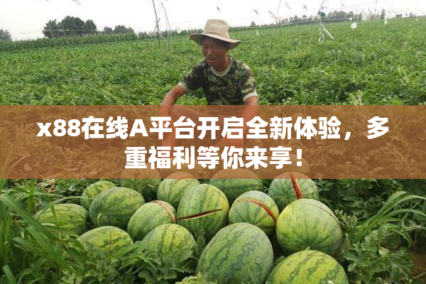 x88在线A平台开启全新体验，多重福利等你来享！