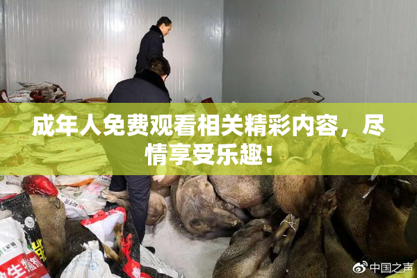成年人免费观看相关精彩内容，尽情享受乐趣！
