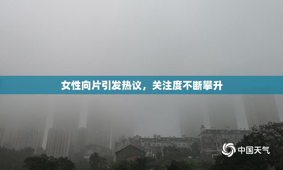 女性向片引发热议，关注度不断攀升