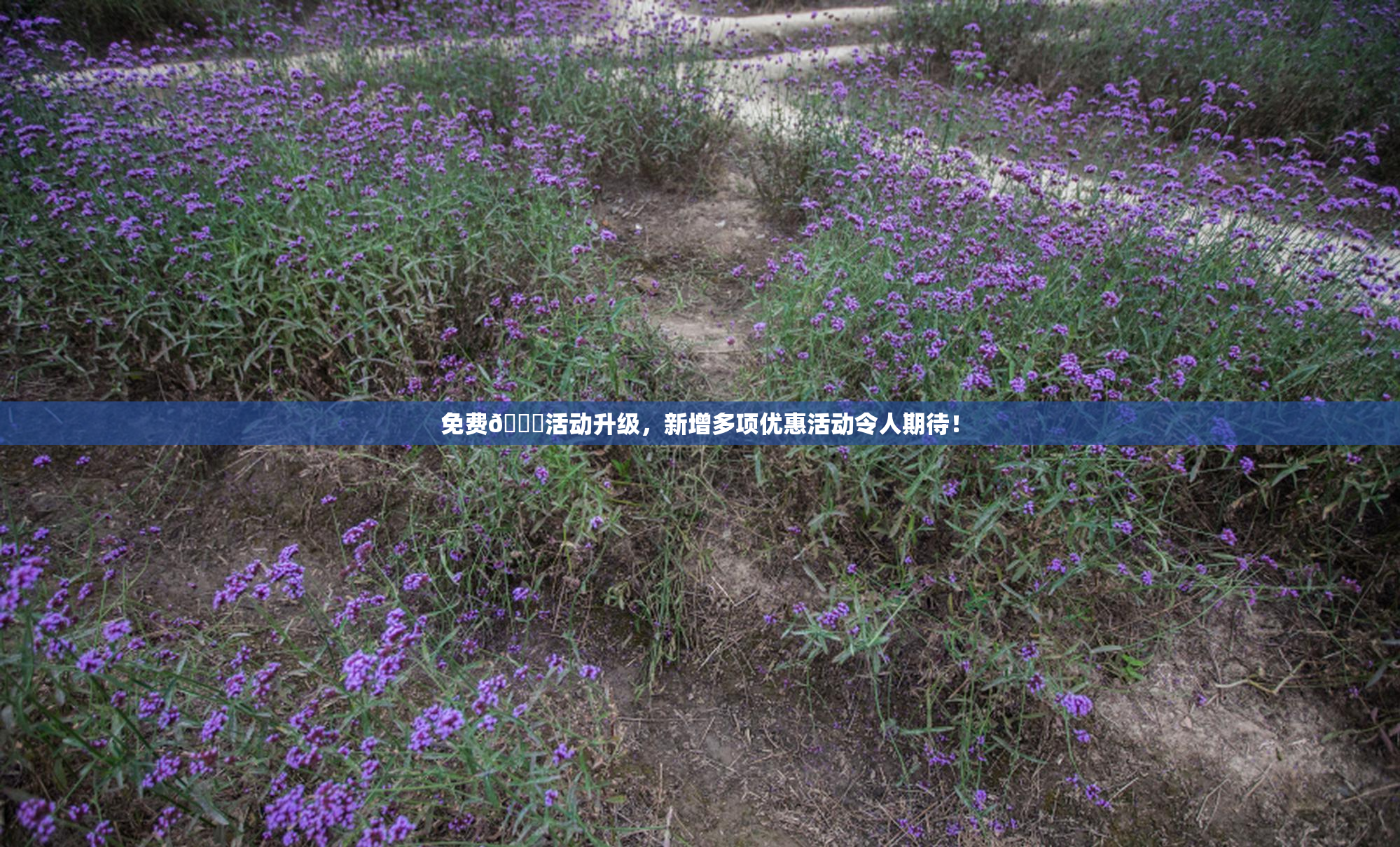 免费🔞活动升级，新增多项优惠活动令人期待！