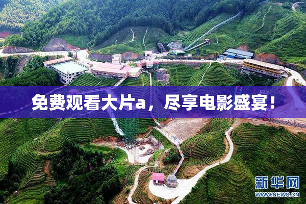 免费观看大片a，尽享电影盛宴！